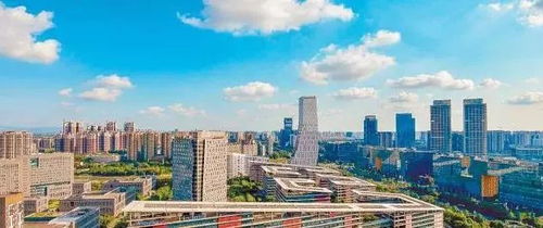 青春在這頭，夢想在那頭 成都朗力在天府軟件園的成長故事